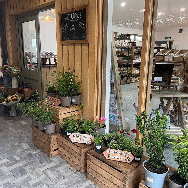 Interior of a farm shop
