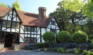 The George and Dragon, Speldhurst