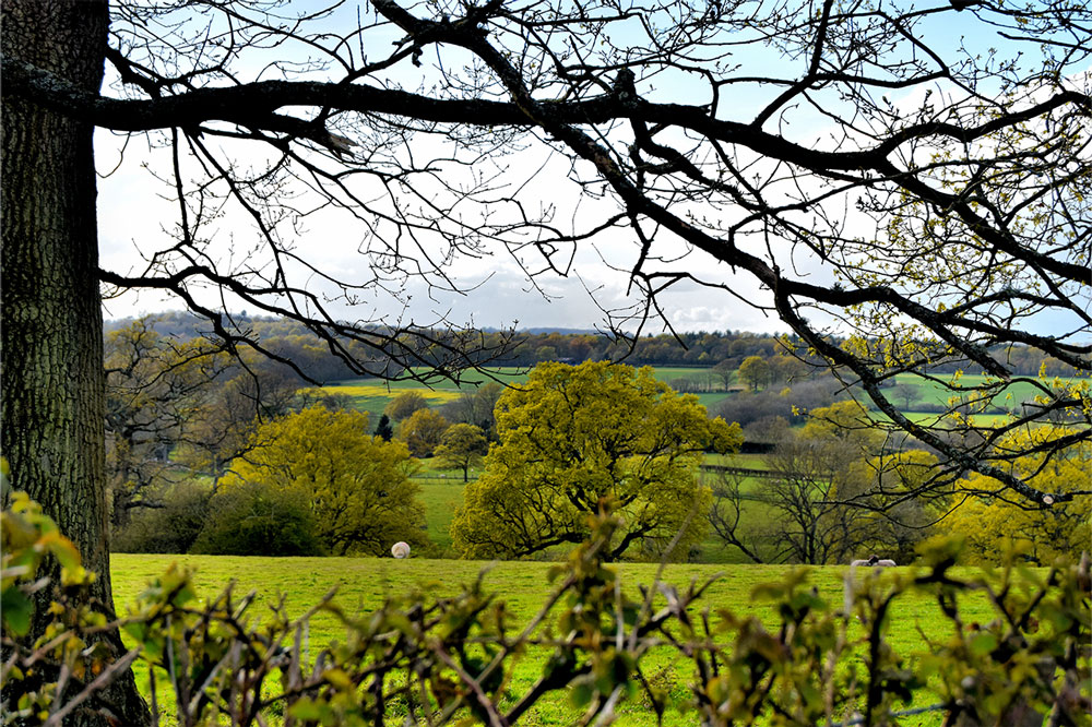 Countryside around Horsmonden