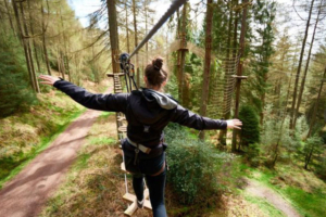 A girl in the treetop go ape adventure course