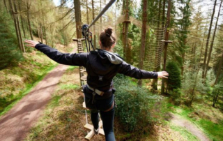 Go Ape at Bedgebury