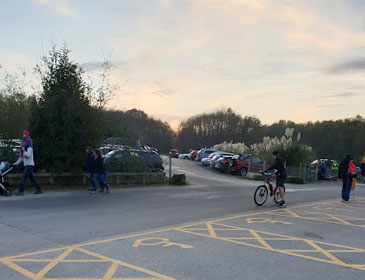 Bedgebury car park