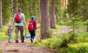 Nature Reserves and Woodlands