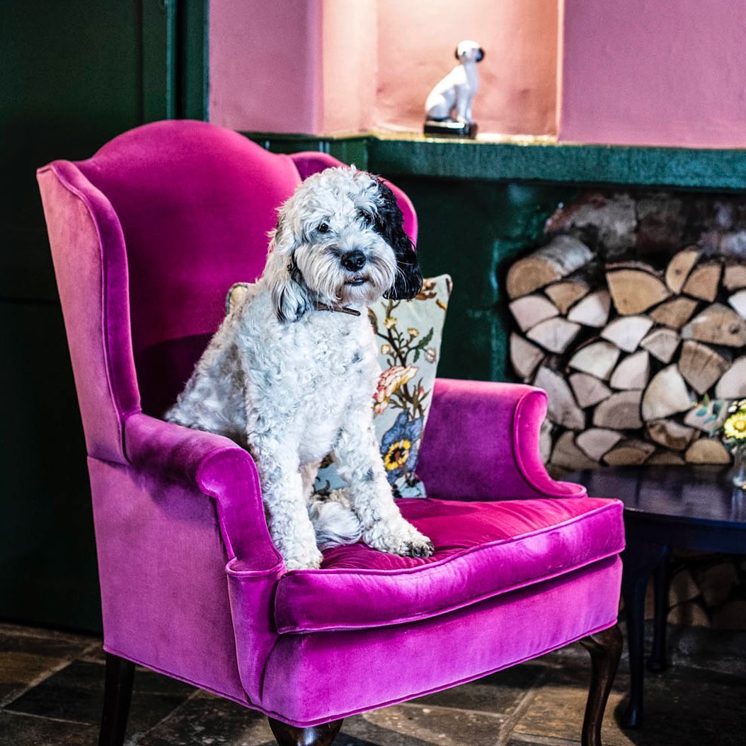 Dog friendly The Chequers Inn