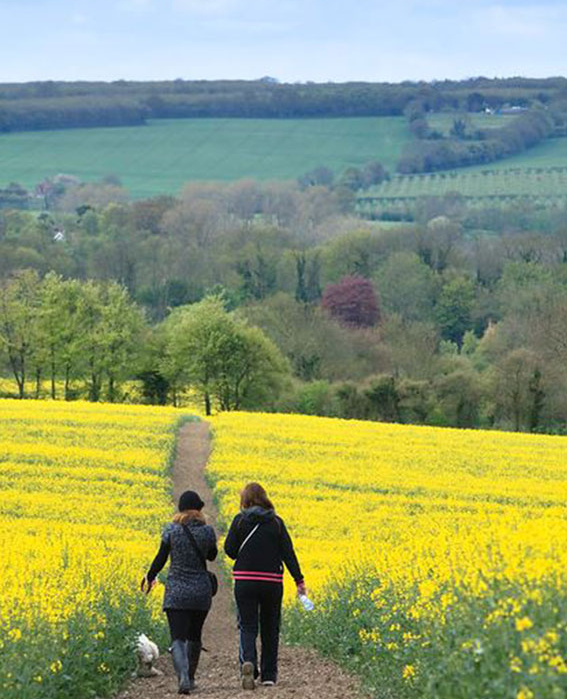 Walking in Kent