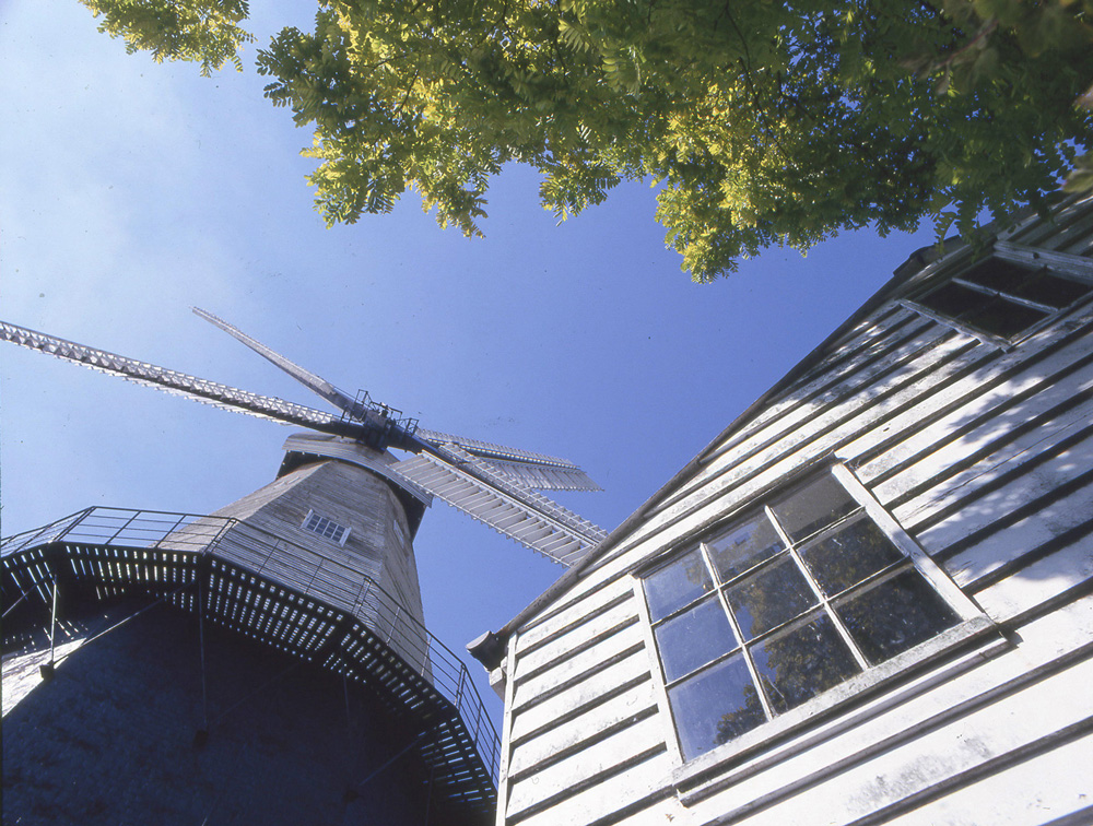 Union Windmill at Cranbrook