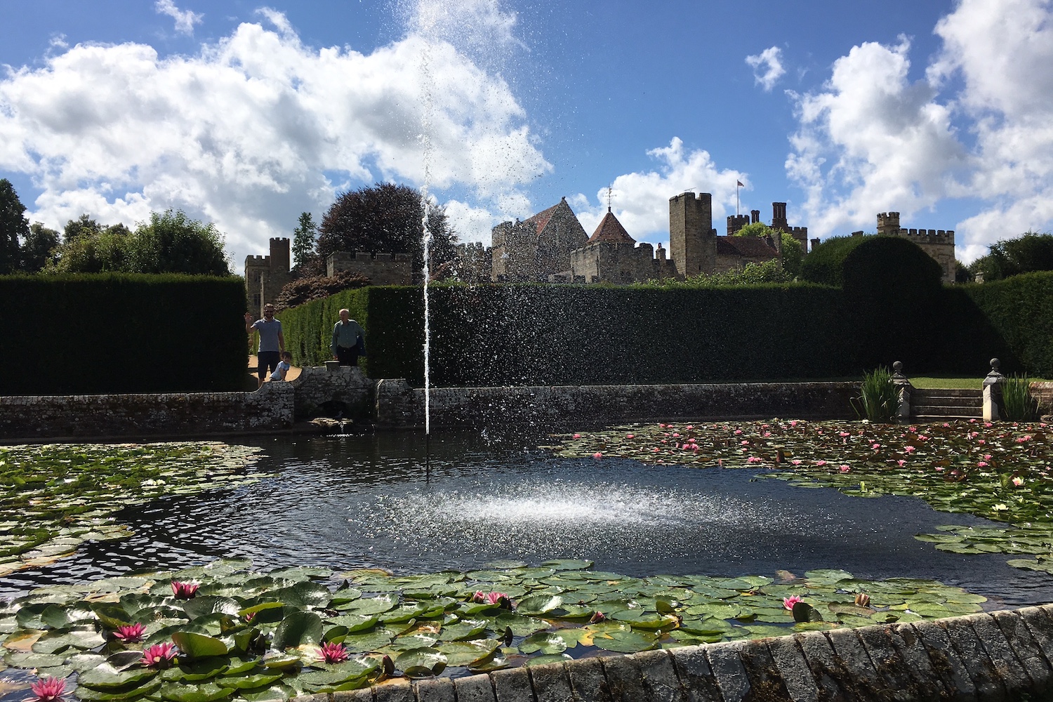 A water fountain spraying water surrounded by lily pads within Penshurst Place & Gardens