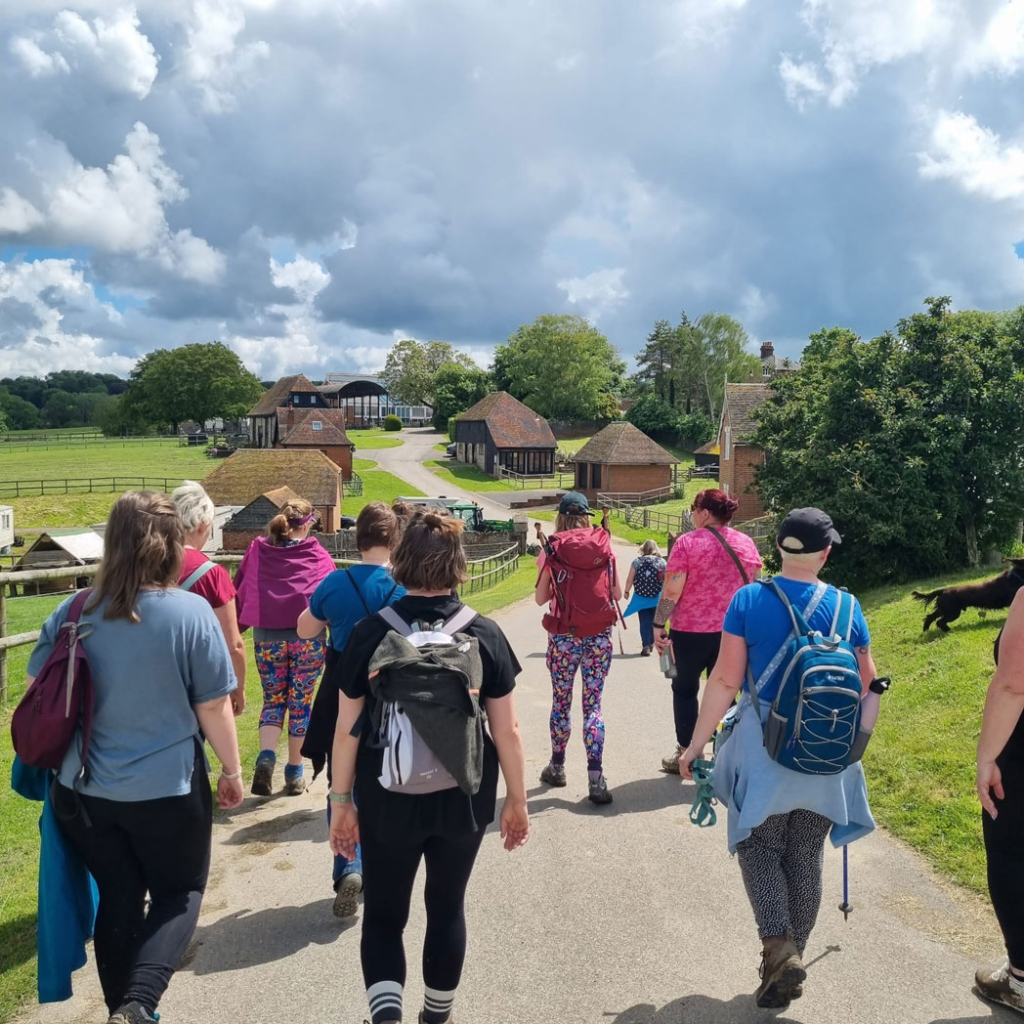 a group of walkers on a sunny day