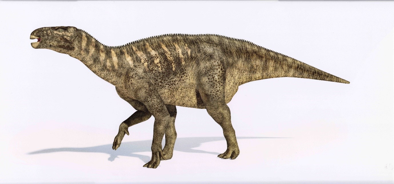 Iguanodon depiction