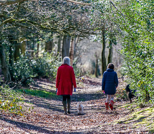 people walking