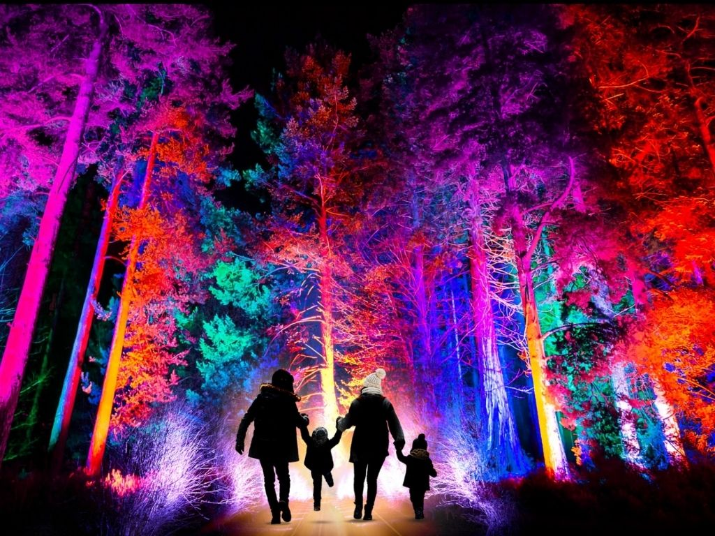 A family walking the lights trail