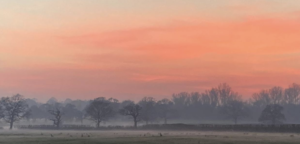 sunset over the frosty countryside