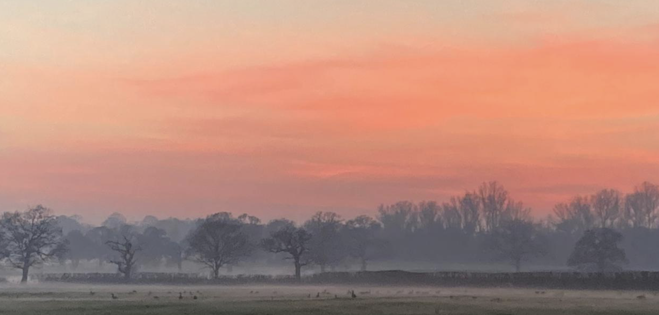 Country Christmas days out around Tunbridge Wells