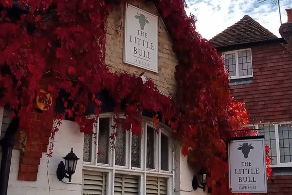 Cafe with leaves on the wall