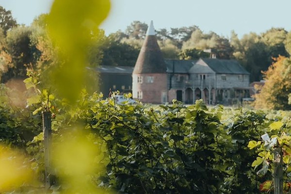 Birchden 600×400 Vineyard with Oast house in the backdrop