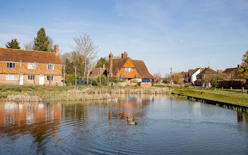 Pond with ducks on it and old houses surrounding it