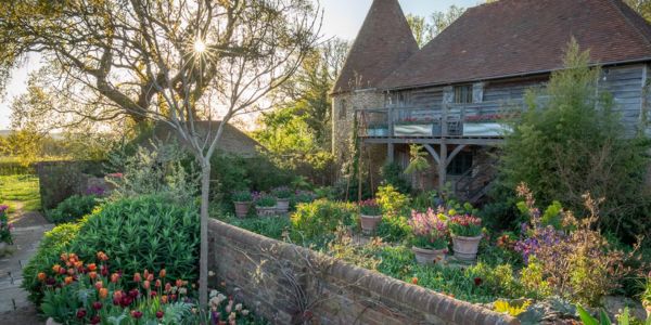 Water-Lane-fresh-produce