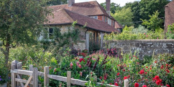 Water-Lane-garden-flowers