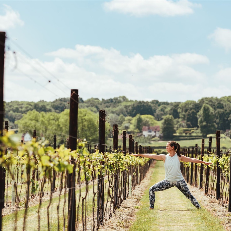 Lady in yoga pose among vines