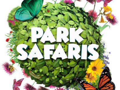 Park safaris