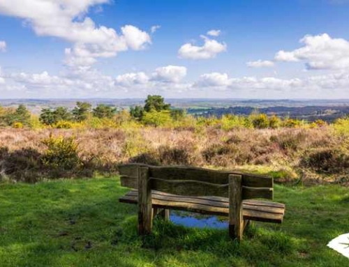 The Go Outside Guide: 40+ fun things to do this summer
