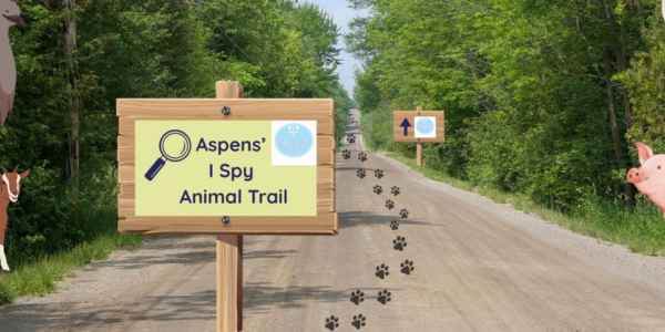 Aspsens animal trail