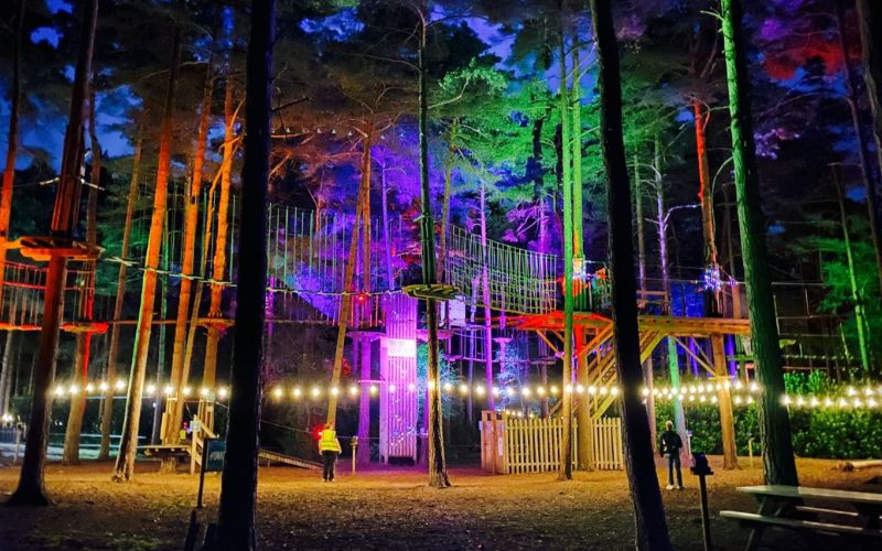 Treetop obstacle course lit up at night