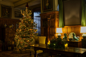 Christmas tree in dimly lit room