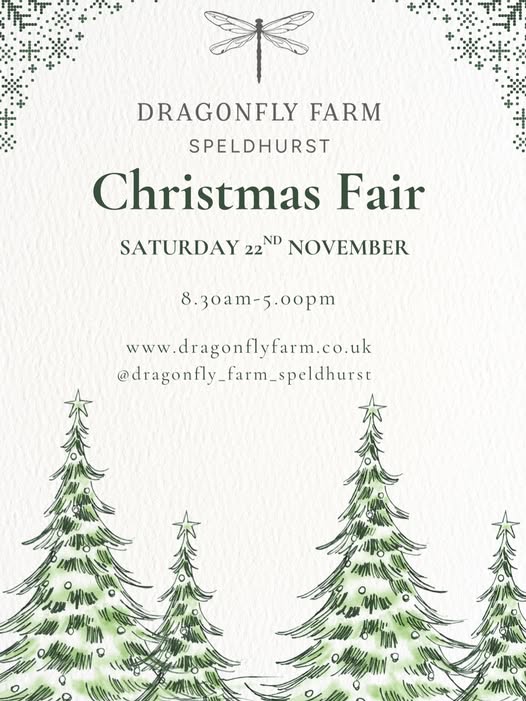 Dragonfly farm Christmas fair flyer