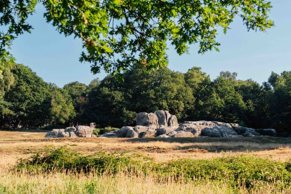 Commons The Commons in Tunbridge Wells