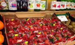 Locality Camden Road