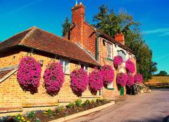 The Halfway House