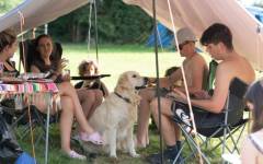 Bedgebury Camping (4)