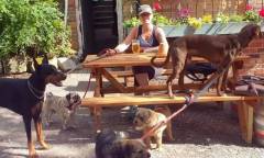 The Red Lion, Rusthall