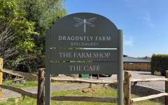 Dragonfly Farm Speldhurst sign 800x500