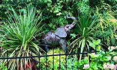 The Red Lion, Rusthall