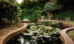 Mercure Tunbridge Wells Hotel garden